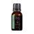 Peppermint (Cornmint) CBD Essential Oil by Broad Essentials by Leaf of Life Wellness